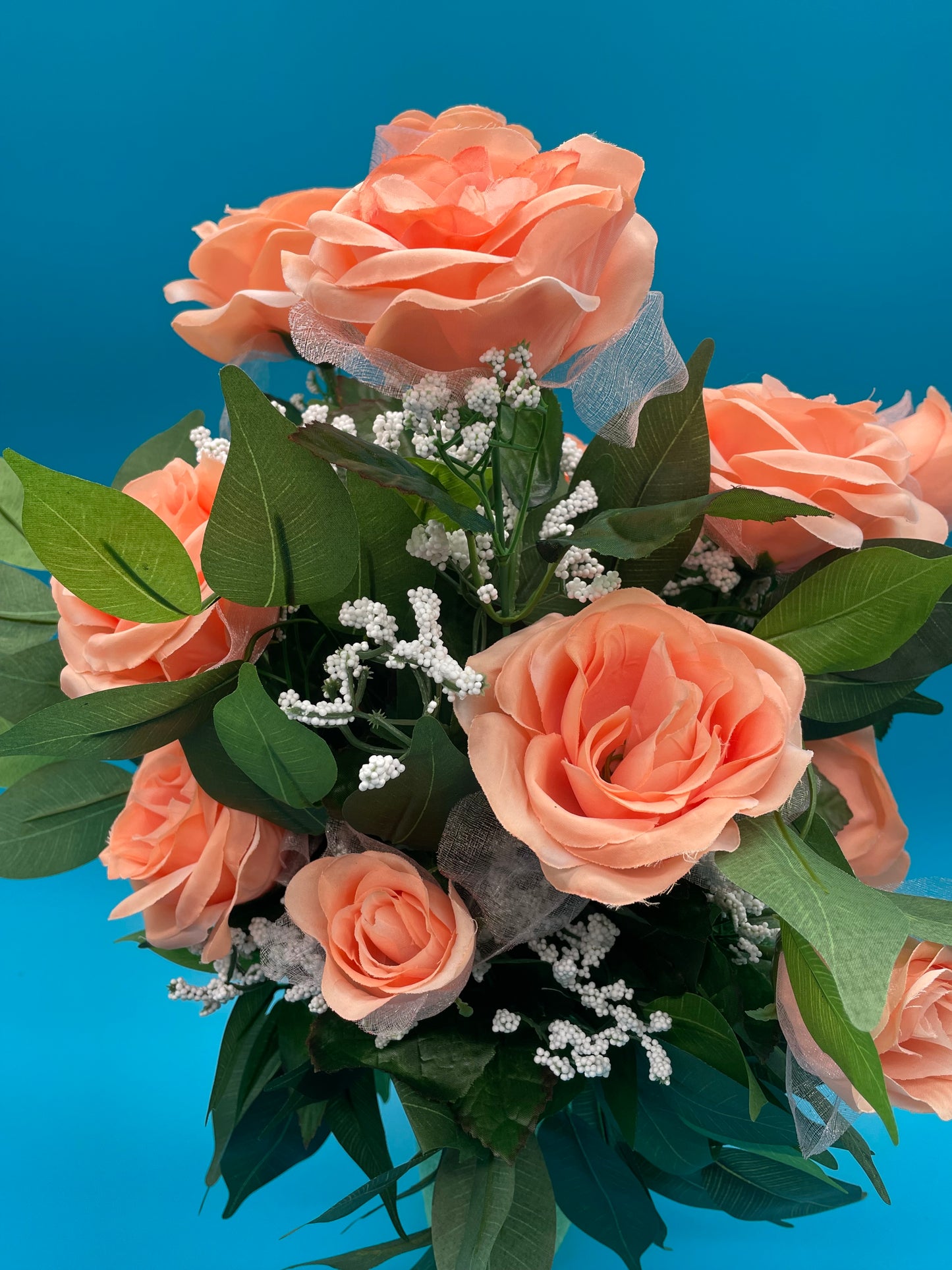 Peach Roses