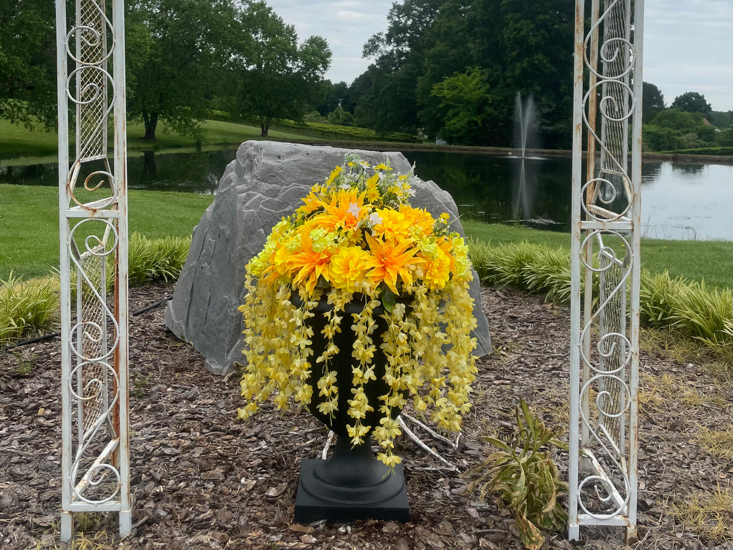 Yellow Lovers Delight