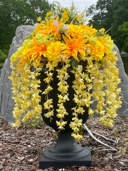 Yellow Lovers Delight