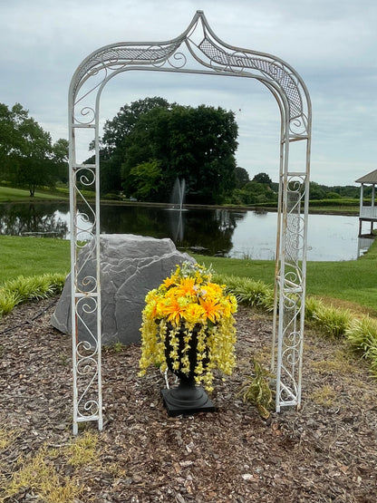 Yellow Lovers Delight